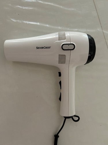 Asciugacapelli professionale